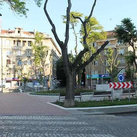 Fs - Beautiful In The Center Of Daire *